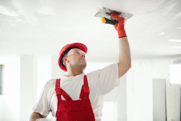 Best Ceiling Drywall Installation  in Benton, TN